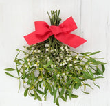 Mistletoe & Moonshine Soy Wax Melt