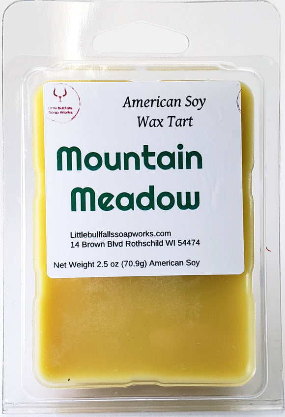 Honey scented soy wax melt save the bees bumblebee honeybee