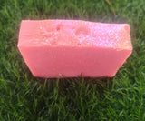 Cherished Goat Milk Soap | Cranberry Pomegranate Soap | Handmade Artisan Soap | Moisturizing Goat Milk Soap | Holiday Gift | Self Care Gift | Luxury Bath Bar