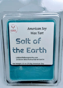 Salt of the earth soy wax melt. Gifts for pastors preachers sunday school.